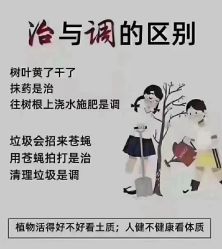 -香薇妮丝·定制减肥·身材管理