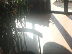 -遇见小院—虹鳟鱼•农家菜(怀柔店)