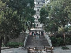 -建华生态湿地百荷园