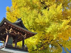 -医王山·飞騨国分寺