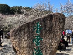 -香雪海