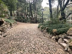-叶家花园