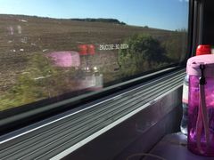 -戴高乐机场火车站