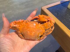 -蓝珊甄选海鲜自助·火锅大排档(近阿那亚店)