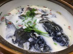 -全乐鱼馆·淳牌有机鱼直营店