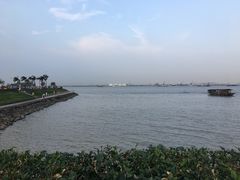 -海鸥岛