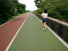 -北海金海湾红树林生态旅游区