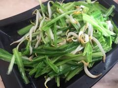 炒豆芽菜-新峰肉骨茶