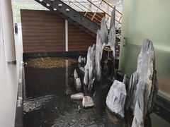 -乐清中升星辉奔驰4S店(乐成市区店)