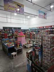 -逝水玩具折扣店