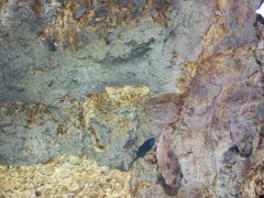 -福州罗源湾海洋世界旅游区