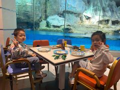 -帝企鹅自助餐厅•儿童岛•真企鹅(长隆企鹅酒店)