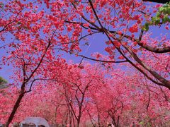 -昆明动物园