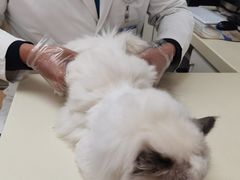 -宠颐生中康贝怡动物医院