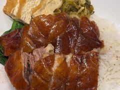 -金尊宝美食坊(蔡屋围店)