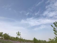-洨河生态公园
