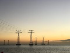 -宝安西湾红树林湿地公园