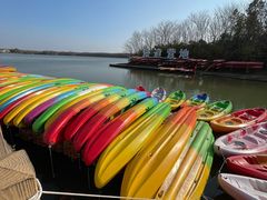 -上海海湾国家森林公园