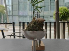 -THE WOODS 简餐 (国贸商城店)