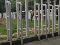 -太原动物园