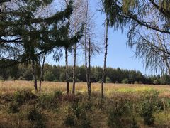 -帽儿山国家森林公园