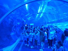 -成都浩海立方海洋公园