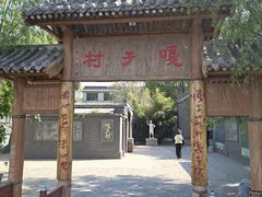 -白洋淀景区