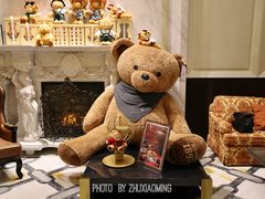 -The Drawing Room 闲逸廊(上海静安瑞吉酒店)