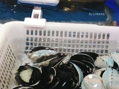 -盒马鲜生(财富中心店)