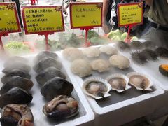 -蚝专家