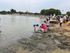 -上海月湖雕塑公园