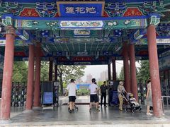 -莲花池公园