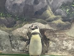 -福州罗源湾海洋世界旅游区