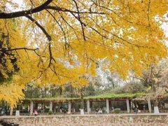 -四川大学(望江校区)
