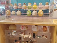 -猫的天空之城概念书店(北戴河蔚蓝海岸店)