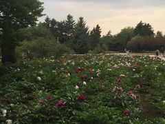 -长春公园(普阳街道)