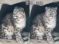 -青藏高原野生动物园