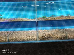 -罗马假日海鲜自助餐厅(星湖广场店)