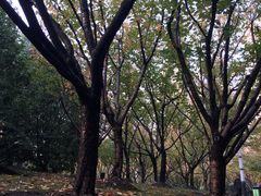 -苏州河梦清园环保主题公园