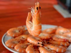 -蚝乡农庄(铁涌赤岸店)