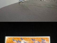 -罗红摄影艺术馆