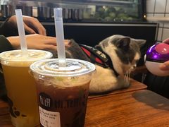 -Hi.TEA茶室(琶洲店)