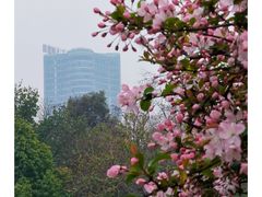 -南湖公园