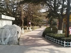 -金城公园