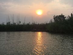 -泗洪洪泽湖湿地景区