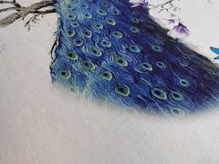 -苏淮景·苏闽融创菜·海鲜(原空港井河轩店)