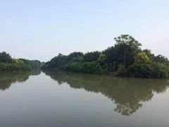 -大湾区中央湿地公园