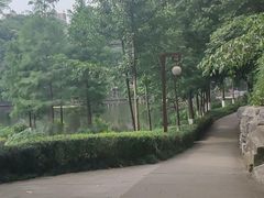 -重庆彩云湖湿地公园