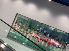 玫瑰花-盒马X会员店(上海森兰商都店)