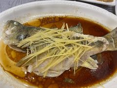-粤·向群饭店(龙津东路总店)